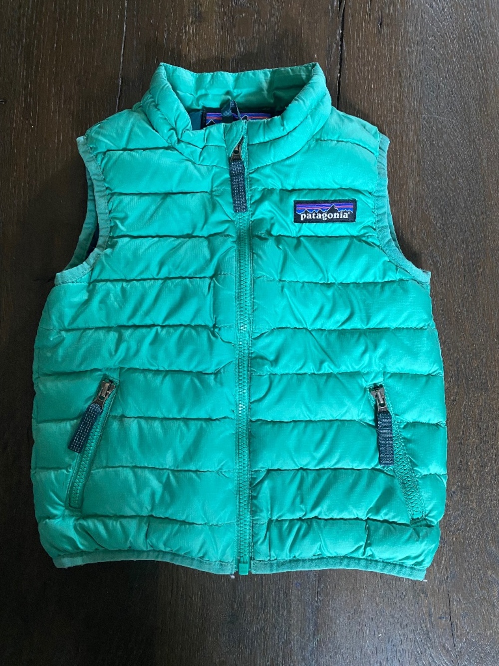 Patagonia vest infant